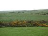 Boulteen C2_thumb.jpg 1.8K